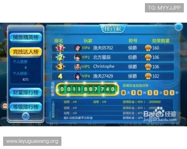 乐鱼电竞专业版助力玩家提升竞技水平的全面指南与实用技巧